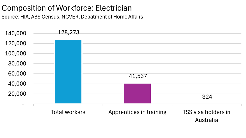 Composition of Workforce: Electrician